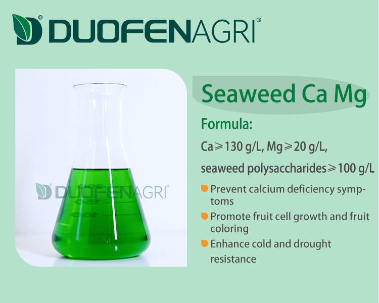Organic Seaweed Calcium Magnesium Liquid Fertilizer OEM image 5
