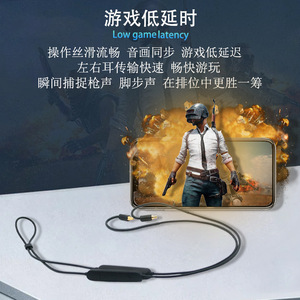 Bluetooth Upgrade <b>Cable</b> <b>Type</b> <b>C</b> Black For IE900 IE200 IE300 IE600 IE500 IE400PRO IE100pro Audio Peripherals - Product Image 5