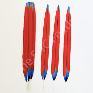 Plumas Artificiales Teñidas de Faisán y Guacamayo de 30cm-150cm para Decoración de Tocados de Carnaval, Samba, Burlesque y Azteca - Product Image 3