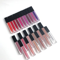 Tube de brillant à lèvres brillant DIY, marque privée, végan, imperméable, rouge à lèvres liquide mat en gros