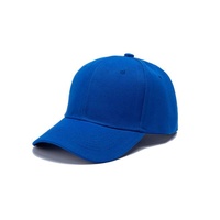 Hoge kwaliteit 6-panel jersey katoenen ademende waterdichte 4-seizoenen sportieve sport trainings baseball pet unisex custom fruit