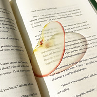 Acryl Fruit Slice-bladwijzers Doorschijnende semi-transparante paginamarkering Leuk boekaccessoire voor lezers, leraren, schrijvers