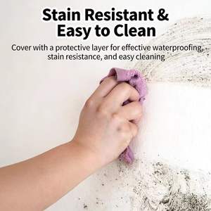 Revêtement liquide <span class=keywords><strong>transparent</strong></span> pour murs extérieurs, résistant aux UV, anti-salissure, imperméable et brillant pour façades de bâtiments, peinture effet pierre. - Product Image 4