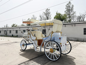 Carruaje Eléctrico Real de Doble Fila Más Vendido en 2025, Carruaje de Boda para Paseos Turísticos, Carruaje de Boda de Doble Función Estilo Cenicienta - Product Image 5