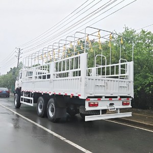 รถบรรทุก Chengli 6x6 20 ตัน แบบมีรั้วกั้น ขับเคลื่อนทุกล้อ สำหรับงานหนัก บรรทุกสัมภาระบนแท่นเหล็ก เหมาะสำหรับการขนส่งบนถนนขรุขระ - Product Image 5