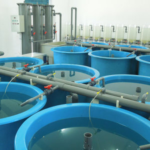 ภาชนะไฟเบอร์กลาสบ่อปลาแบบตะแกรงกลมสำหรับปลาทอง KOI - Product Image 6