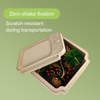 Boîte cadeau en carton recyclable et biodégradable en bagasse de canne à sucre non blanchie, pressée à humide, pour emballage chimique-mécanique, ODM & OEM