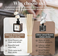Base de diffuseur de parfum ODIS Professional Grade Augeo pour mélange d'huiles parfumées, livraison rapide dans le monde entier