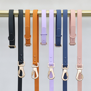 2023 Nuevo estilo en stock Tamaño ajustable Correas recubiertas de PVC Diseñador Collar de perro de lujo y conjunto de correa - Product Image 6