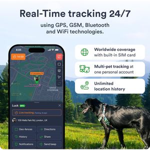 Petloc8 Dog <b>GPS</b> Tracker 4G LTE Real Time Tracking Waterproof Long Life Battery Pet Monitoring <b>Device</b> - Product Image 3
