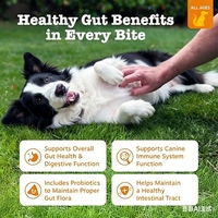 Complément alimentaire pour animaux de compagnie, comprimés à mâcher probiotiques pour le système immunitaire des animaux - Enzymes digestives à la citrouille pour la flore intestinale