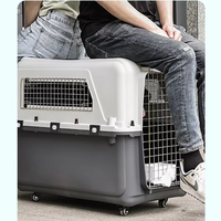 Grand transporteur d'animaux de compagnie portable et respirant en polypropylène, avec fenêtre en plastique, rigide, rectangulaire, couleur unie, pour chiens et chats