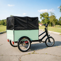 Tricycle à 3 roues avec pneus larges pour adultes, vélo de livraison urbain pour marchandises lourdes, tricycle à assistance électrique à 3 roues