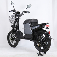 Vélo électrique urbain Monster 20 pouces, batterie lithium 48V/60V 21Ah-60Ah, freins à disque hydrauliques 500W-1500W, capacité de charge 250KG