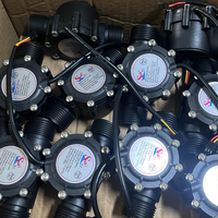 Tabung 1 inci Sensor air industri denyut G1 Flowmeter dengan Hall untuk kolam Sensor aliran cair untuk mengukur aliran air