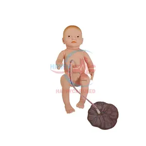 HC-S315A model pengajaran keperawatan Neonatal bayi baru lahir manekin medis dengan Plasenta