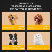 Tondeuse électrique professionnelle pour chien LILIPRO PT303, kit de tondeuse à poils pour animaux silencieux, tondeuse sans fil pour chat, kit de produits de toilettage