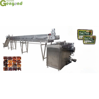 Ligne de production de sirop de dattes / Machine de transformation de pâte de dattes / Machine de fabrication de miel de dattes