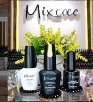 Grossiste en gel pour ongles, fournisseur chinois, OEM ODM, étiquette privée, couleurs semi-permanentes, gel UV/LED, vernis à ongles, fournitures de salon