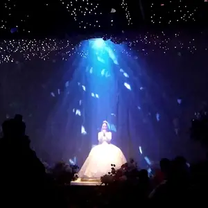 Hologram Mesh Screen Floating In The Air 3D Holographic Projection For Wedding