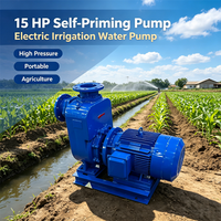 Pompe à eau auto-amorçante électrique portable 15 hp Machine haute pression pour l'irrigation et l'agriculture
