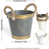 Petit récipient métallique rustique antique, pot coloré pour plantes succulentes et cactus avec poignées en ficelle, décoration de table, jardin, maison