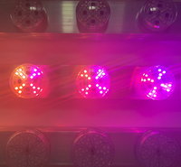 Ampoule LED à changement de couleur pour PC, E14, programmation RGB automatique, AC24V, 48mm, lumière ponctuelle, IP65, étanche, décoration de parc à thème