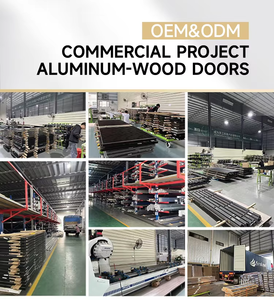 Hiện đại được thiết kế nhôm bệnh viện tư vấn cửa phòng nội thất cửa với sợi thủy tinh màn hình lưới hoàn thành bề mặt - Product Image 6