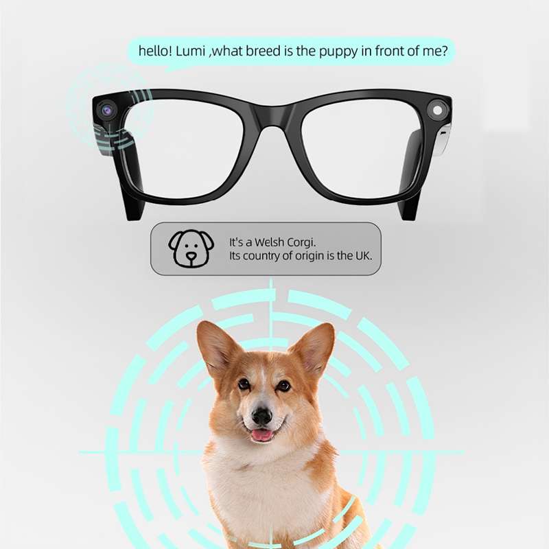 ai smart glasses 8mp camera