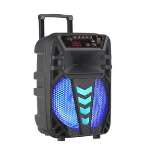 Bosinas Amplificada 12 "Auto Falante De 12 inci Speaker troli pesta luar ruangan portabel dengan mikrofon nirkabel