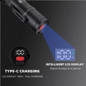 15W 365nm UV LED de alta potencia Blacklight linterna LCD USB recargable UV pegamento curado gato perro mascota mancha Tinea marcador lámpara antorcha - Product Image 2