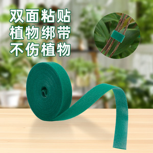 Bandas de sujeción para plantas Kyushu Garden de 10 mm y 15 mm, verdes, para jardinería doméstica y herramientas para bonsáis - Product Image 2