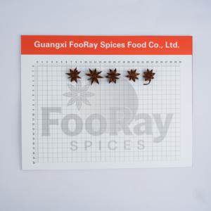 10g Anís Estrellado Rojo Premium Entero, Especia Auténtica, Muestra de Calidad Verificada, Envío Rápido, Kit de Prueba, Costo Reembolsable en Compras al por Mayor - Product Image 3