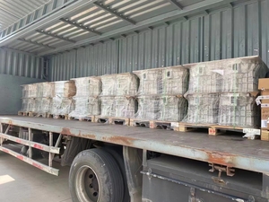 4464770372 Tiptronic AM3 6090 007 XXX Power Pack pour boîte de vitesses ZF amt - Product Image 6