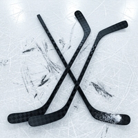 Créez votre propre bâton de hockey sur glace de marque OEM