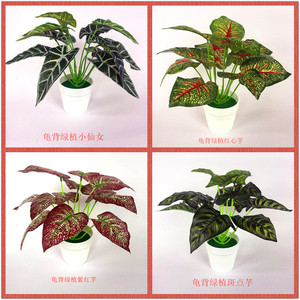 Plante artificielle en pot Qi Xing, Caladium Cœur Rouge en tissu de soie, Décoration intérieure, Verdure - Product Image 5