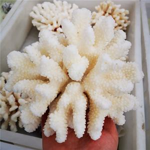 <span class=keywords><strong>Cristalli</strong></span> Naturali Grezzi all'Ingrosso, <span class=keywords><strong>Pietre</strong></span> <span class=keywords><strong>di</strong></span> Quarzo Cristallino, Esemplare <span class=keywords><strong>di</strong></span> Corallo Bianco - Product Image 5