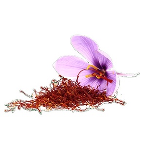 Hierba de especias de azafrán, calidad fresca, Mogra kesar de azafrán Mongra para comprar a bajo precio en la India - Product Image 1