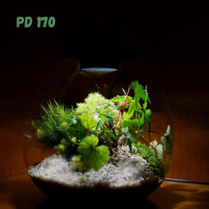 Wabi kusa plante terrarium récipients <span class=keywords><strong>en</strong></span> <span class=keywords><strong>verre</strong></span> bocal <span class=keywords><strong>en</strong></span> <span class=keywords><strong>verre</strong></span> pour bonsaï décoration de bureau - Product Image 4