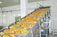 Sinaasappel/Appel/Druivensap Automatisch Of Semi-Auto Vruchtensap Passiepulp Machine Passievrucht Concentraat Verwerkingslijn Voor Mango Ananas Pulp Crush Pletten Pulp Pulping