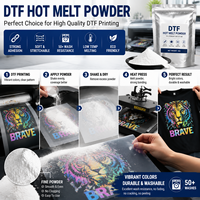 Poudre adhésive thermofusible en copolyamide DTF blanche 155-165 DS220 modèle Tunsing pour impression par transfert sur soie et coton