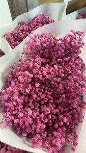 Aliento de bebé preservado versátil de 100-120g al por mayor para decoraciones de boda - Product Image 5