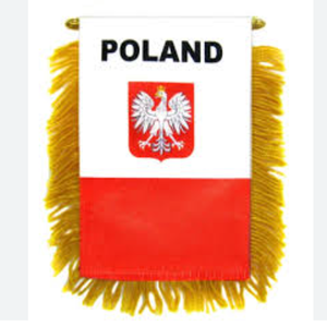 Drapeau de Macédoine du Nord drapeau suspendu petit Mini drapeaux de <span class=keywords><strong>voiture</strong></span> bannières rétroviseur décoration avec ventouse bannière à franges dorées - Product Image 3