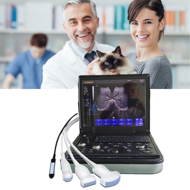 Medical Portable Laptop Color Doppler Ultrasound Scan Equipment 3D 4D 5D Color Ultrasound Machine for Hospital and Clinic