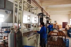 Профессиональная лампа металлогалогенная трубчатая R7S 70 Вт, двухцокольная, 3000K 4200K 6000K, для наружного применения, с балластом MH, от производителя осветительного оборудования - Product Image 6