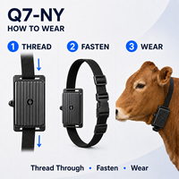 Collier de suivi GPS pour bétail, pour les élevages intelligents, étanche, GSM/GPRS 4G LTE WiFi, avec faible consommation d'énergie
