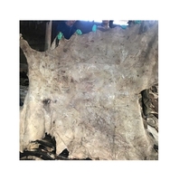 Kulit Sapi Mentah Berkualitas Tinggi, Berlapis Garam, Dua Sisi, Berat, untuk Pengolahan Kulit, Tas, Sofa, Sepatu, Koper, Asal Vietnam