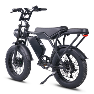 Lokaler US-Lagerbestand: Wins T8 Elektro-Fatbike mit 20*4.0 Reifen, Scheibenbremsen, Dual-<span class=keywords><strong>Motor</strong></span>, 250W/750W - Product Image 6