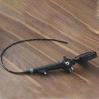 Endoscope diagnostique vétérinaire flexible réutilisable vidéo HD, gastroscope portable, coloscopie, bronchoscopie pour cheval