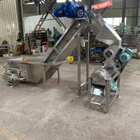 Industriële commerciële zware sapcentrifuge voor het extraheren van groenten, knoflook, gember en wortels